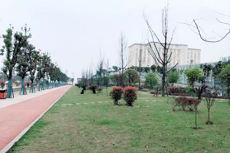 五家渠市翠屏区（一期B区）道路   管网等设施建设项目